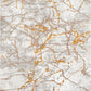 LIPARIS - Tapis Marbré beige dorée à poils ras