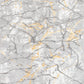 LIPARIS - Tapis Marbré gris dorée à poils ras